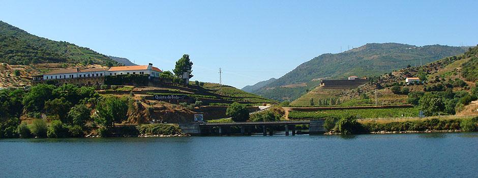 Douro River Cruzes
